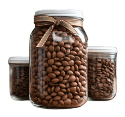 Lentils and Beans